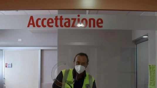 Migration Migration