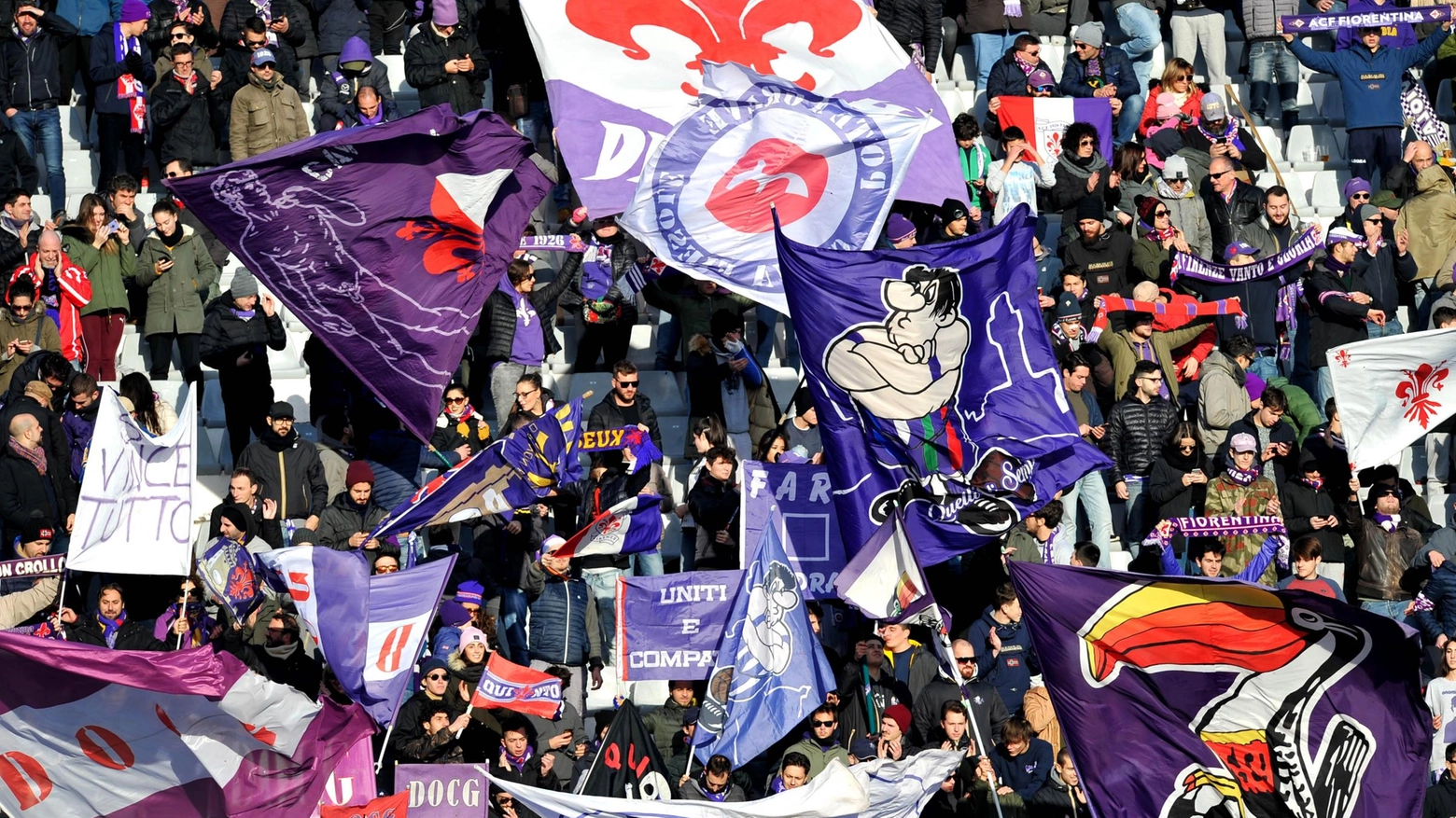 Tifosi Fiorentina 