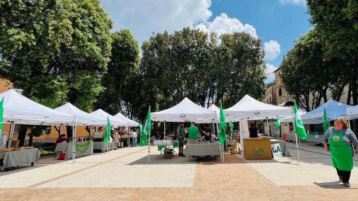 Mercatino della Cia Filiera corta e qualità 12 bancarelle agricole Mercatino della Cia Filiera corta e qualità 12 bancarelle agricole