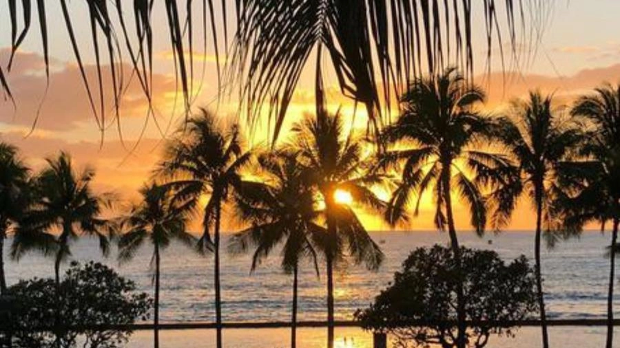 Hawaii (foto Ansa) 