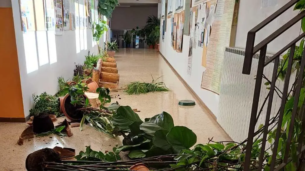 Vandali, assalto a scuola Lavagne interattive a pezzi Il raid postato sui social Sospetti su due studenti Vandali, assalto a scuola Lavagne interattive a pezzi Il raid postato sui social Sospetti su due studenti