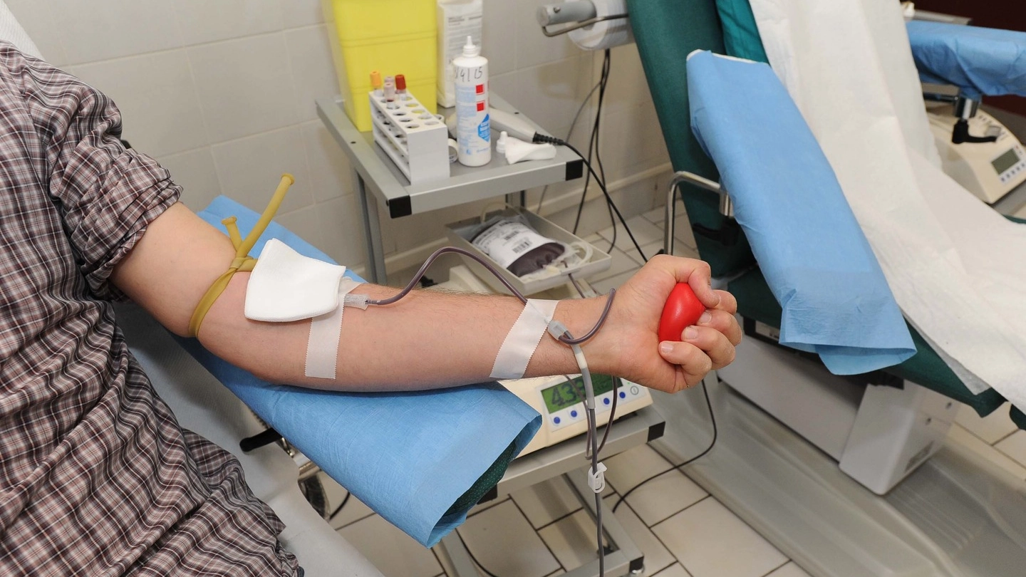 Donazioni di sangue (foto di archivio)