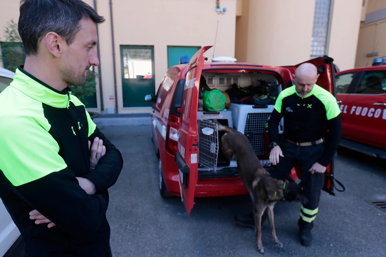 Uno dei cani con i conduttori