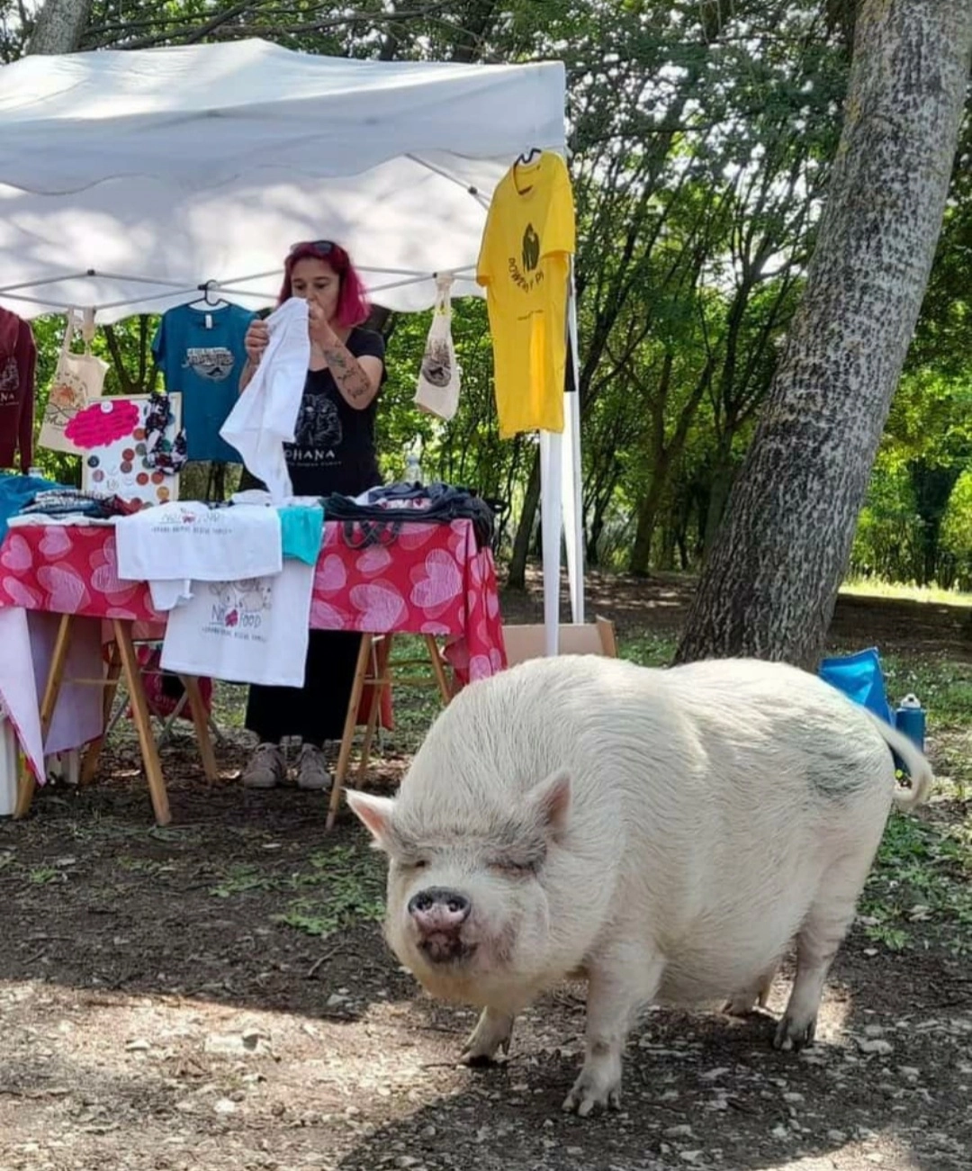 immagine di sfondo 13