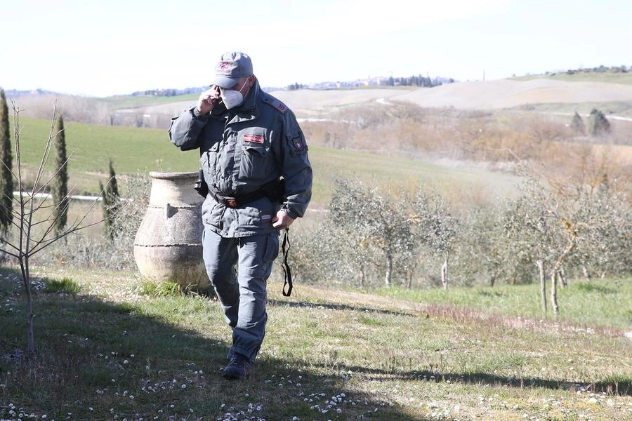 immagine di sfondo 9
