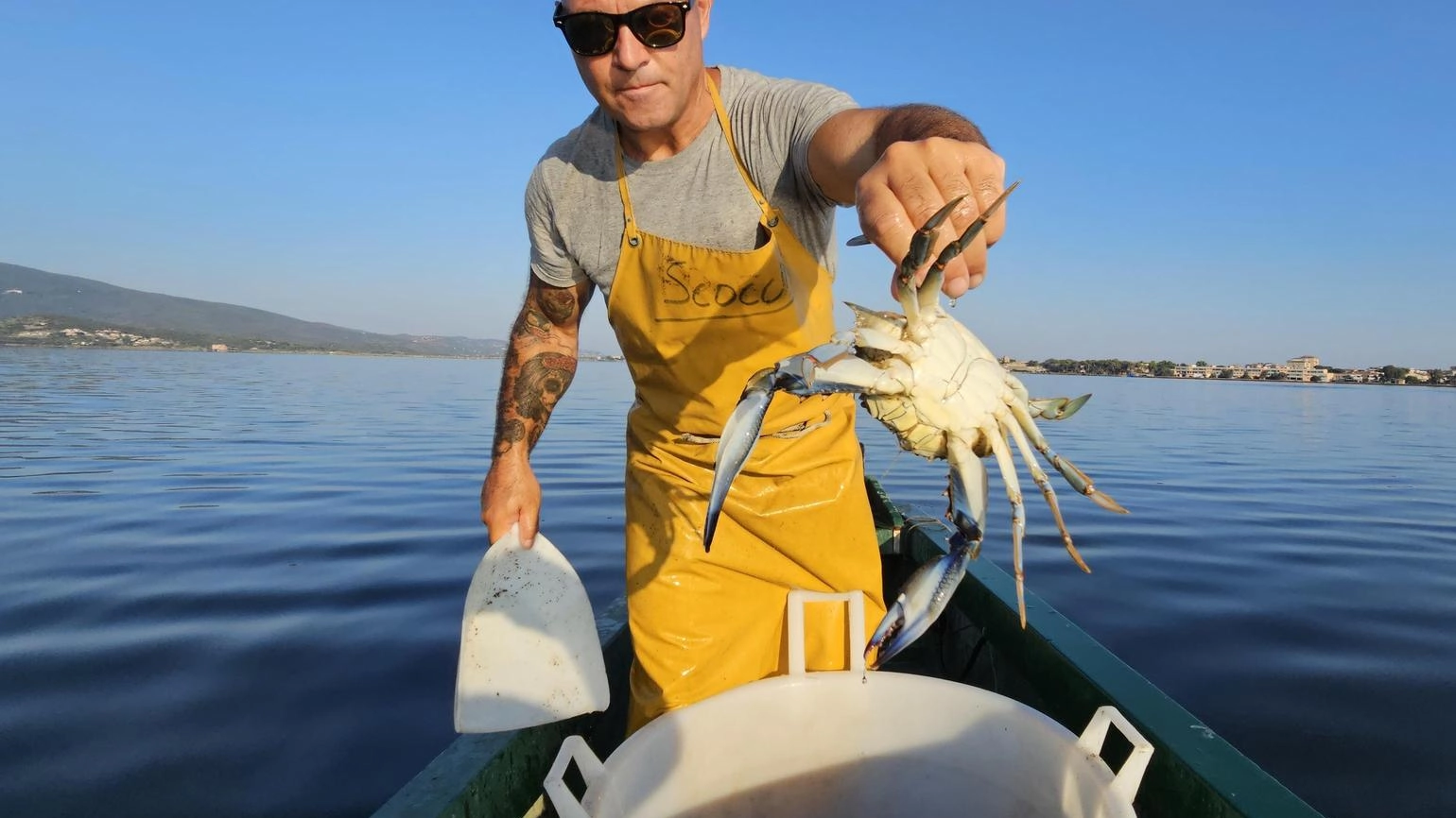 Lotta al granchio blu: "Si pensa di combatterlo con la pesca a strascico" Lotta al granchio blu: "Si pensa di combatterlo con la pesca a strascico"