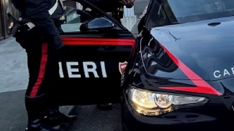 La lite stradale e le botte: "Donna presa a pugni. Un’aggressione violenta" La lite stradale e le botte: "Donna presa a pugni. Un’aggressione violenta"