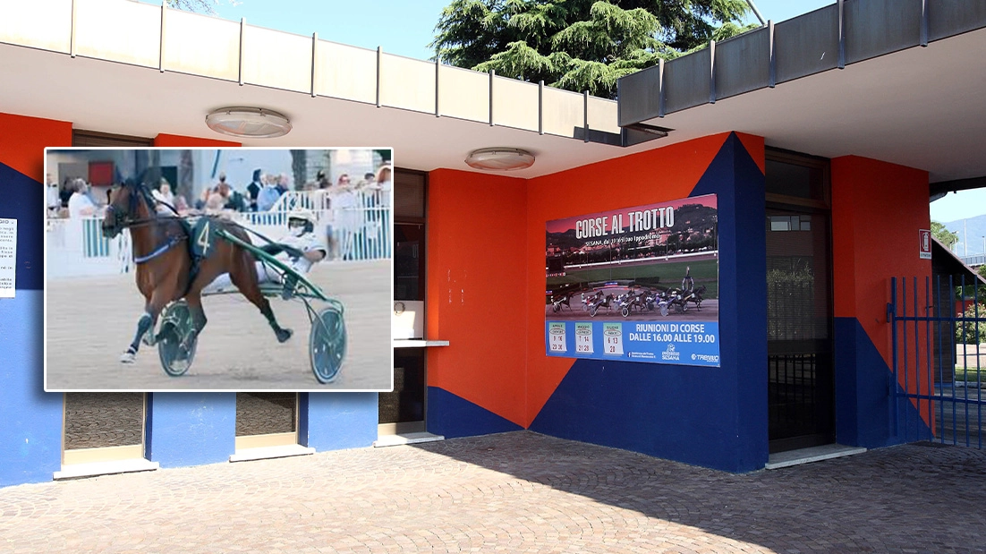 L'ippodromo Sesana e nel riquadro la cavalla Calenita L'ippodromo Sesana e nel riquadro la cavalla Calenita