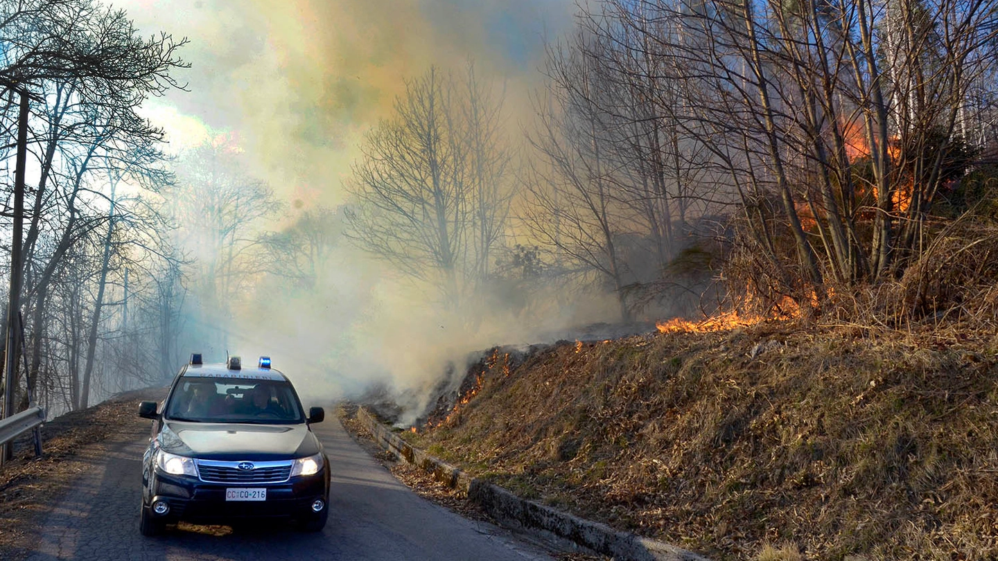 I carabinieri e il fronte del fuoco (Foto Borghesi)