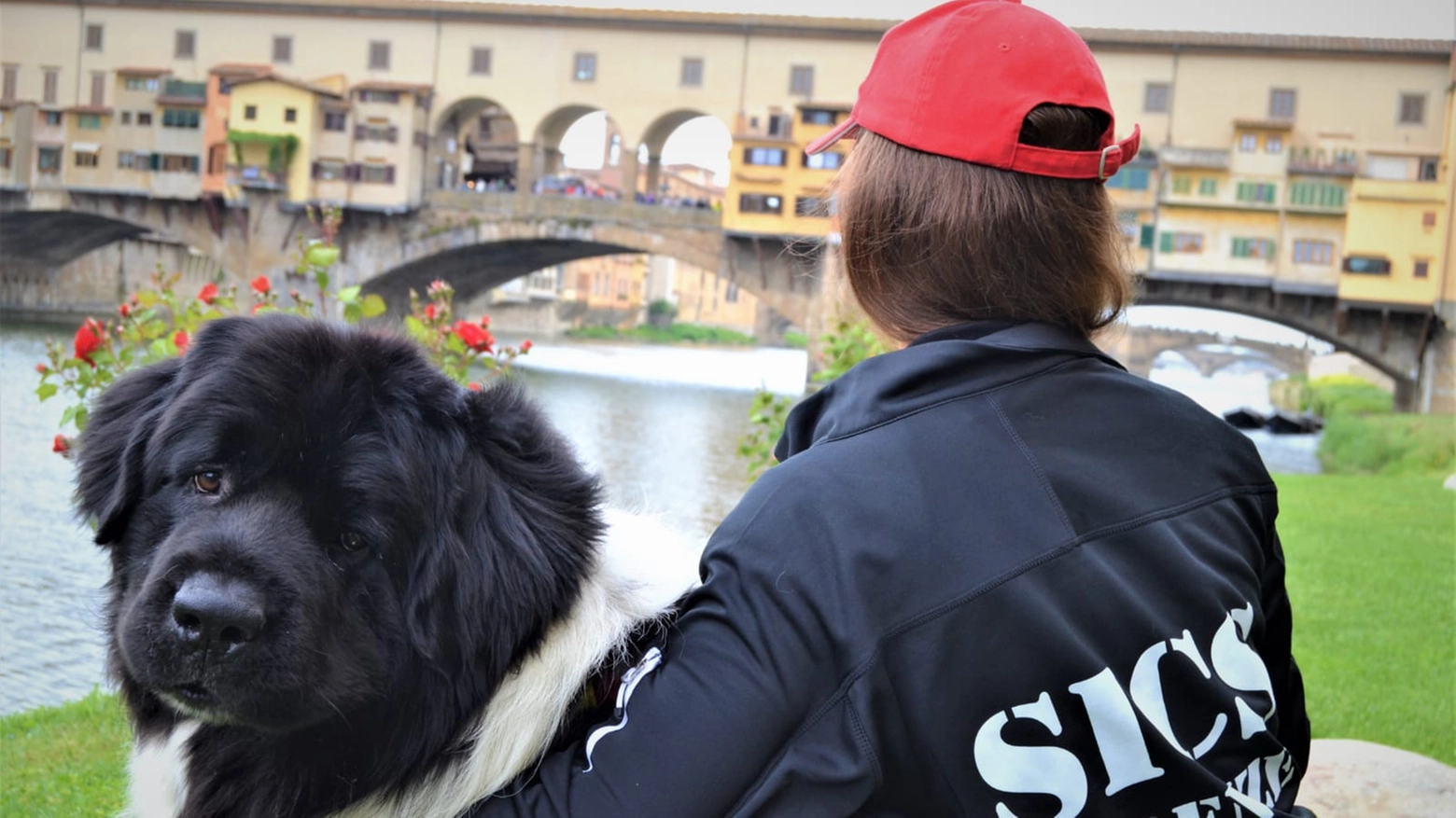 Un cane della Sics Scuola italiana cani di salvataggio 