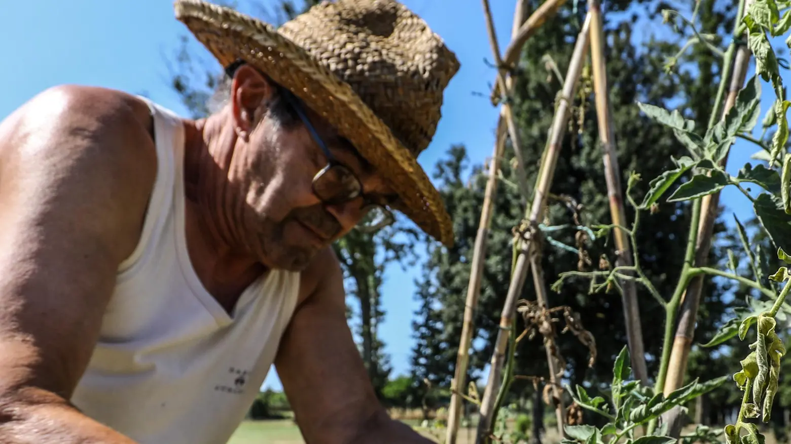 Progetti anti siccità Dall’ex cava Manni alla Montagnola Senese per fare scorte d’acqua Progetti anti siccità Dall’ex cava Manni alla Montagnola Senese per fare scorte d’acqua