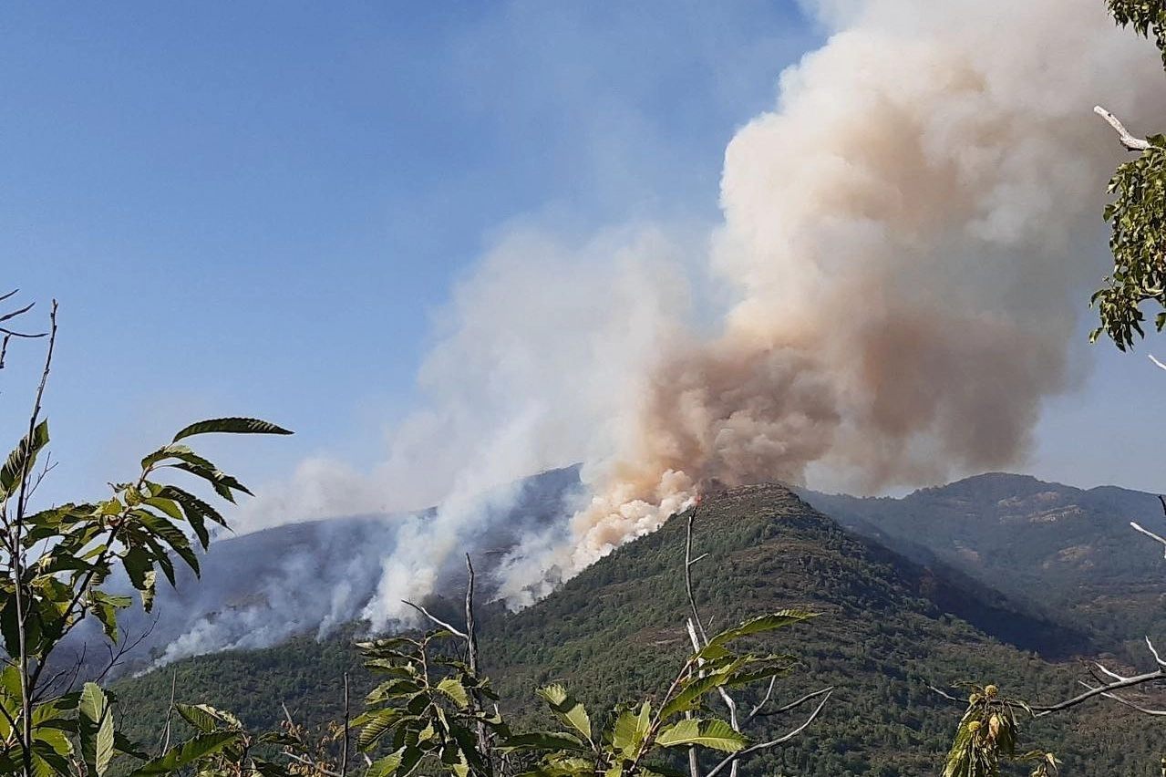 L'incendio di Reggello (Foto dal profilo Facebook del sindaco Giunti)