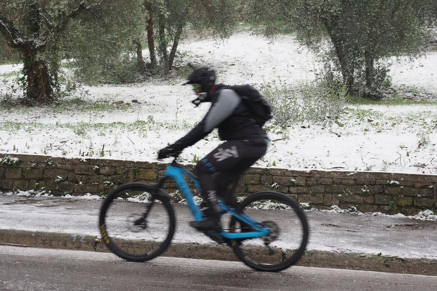 immagine di sfondo 16