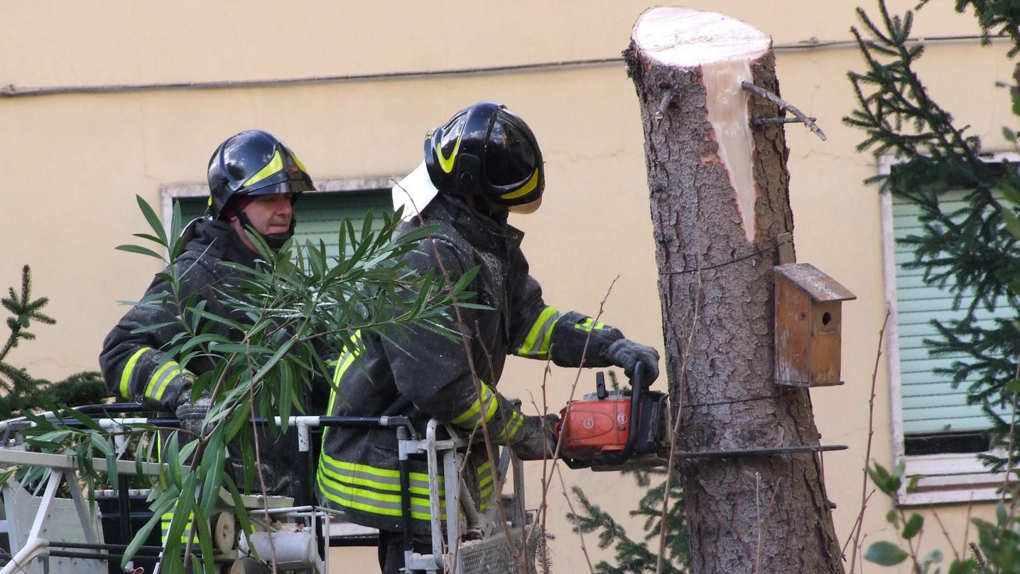 Vigili del fuoco al lavoro per tagliare gli alberi caduti e controllare le zone dove i torrenti stanno esondando
