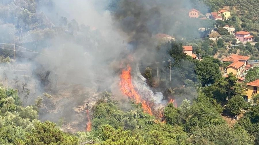 Le fiamme fra la zona di Sarbia e l’Antoniana alla fine di luglio