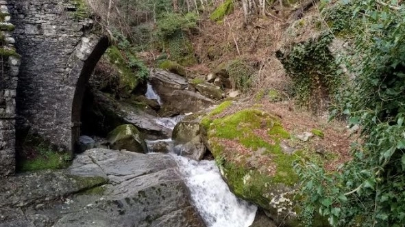 Il torrente Il torrente