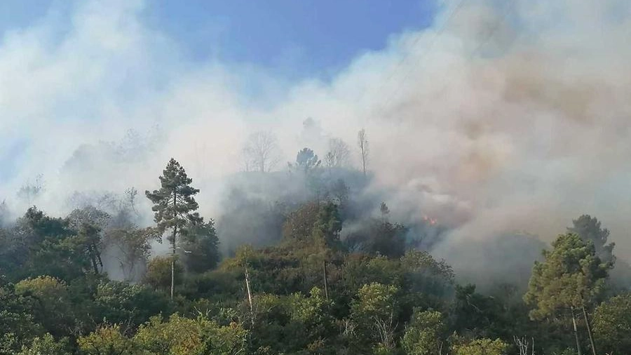 Incendio a Montignoso (Massa) 