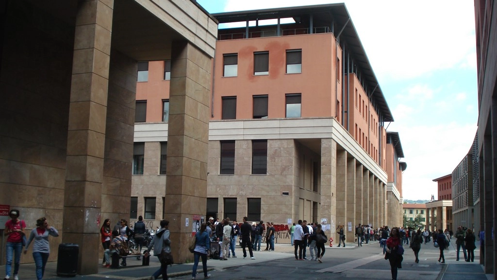 Il Polo di Novoli Il Polo di Novoli