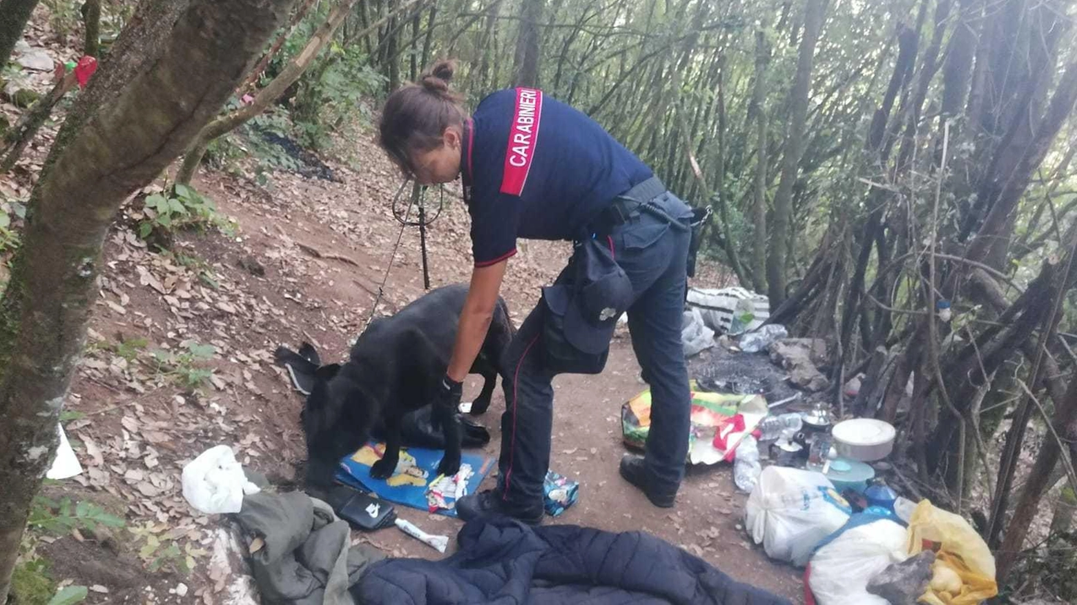 Droga e armi nascoste nei boschi: c’è un arresto Droga e armi nascoste nei boschi: c’è un arresto