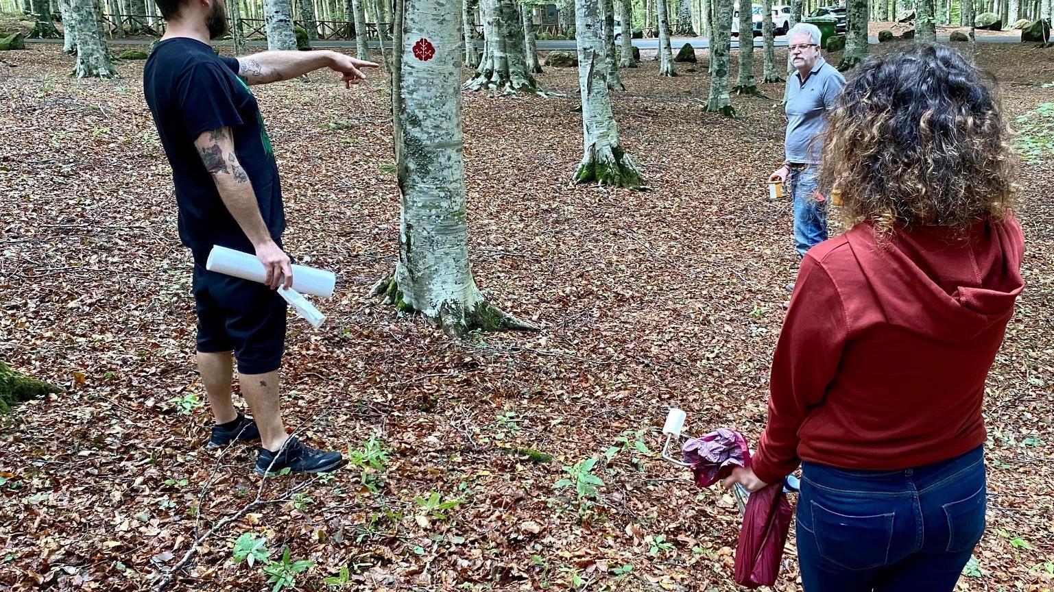 Forest Bathing. Il marchio per i faggeti Forest Bathing. Il marchio per i faggeti