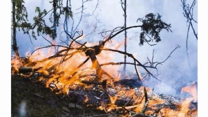 493 Incendi a Lucca per una superficie boscata di 593 ettari