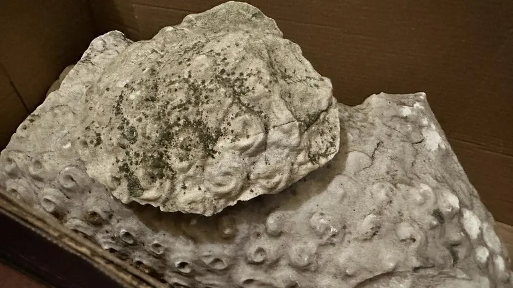 Paura a Palazzo dei Priori Scultura in marmo va ko Paura a Palazzo dei Priori Scultura in marmo va ko