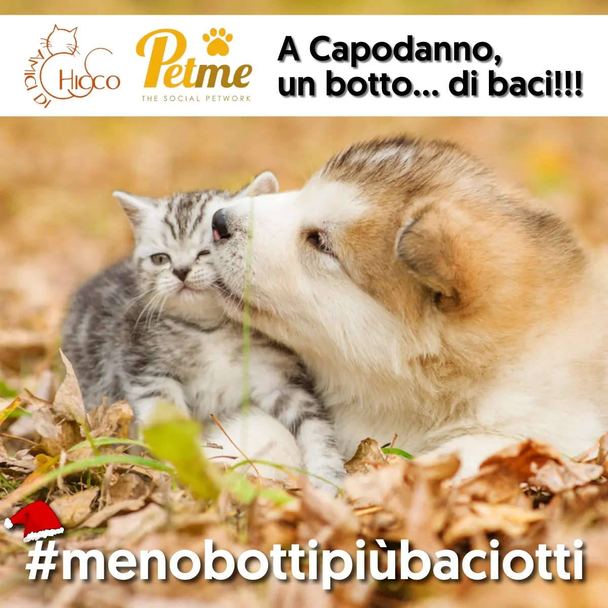 Meno botti più baciotti: ecco le foto vincitrici