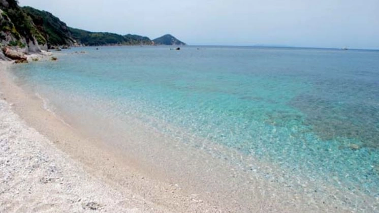 La spiaggia di Capo Bianco all'isola d'Elba