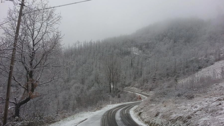 Neve in Toscana (Foto Dire)