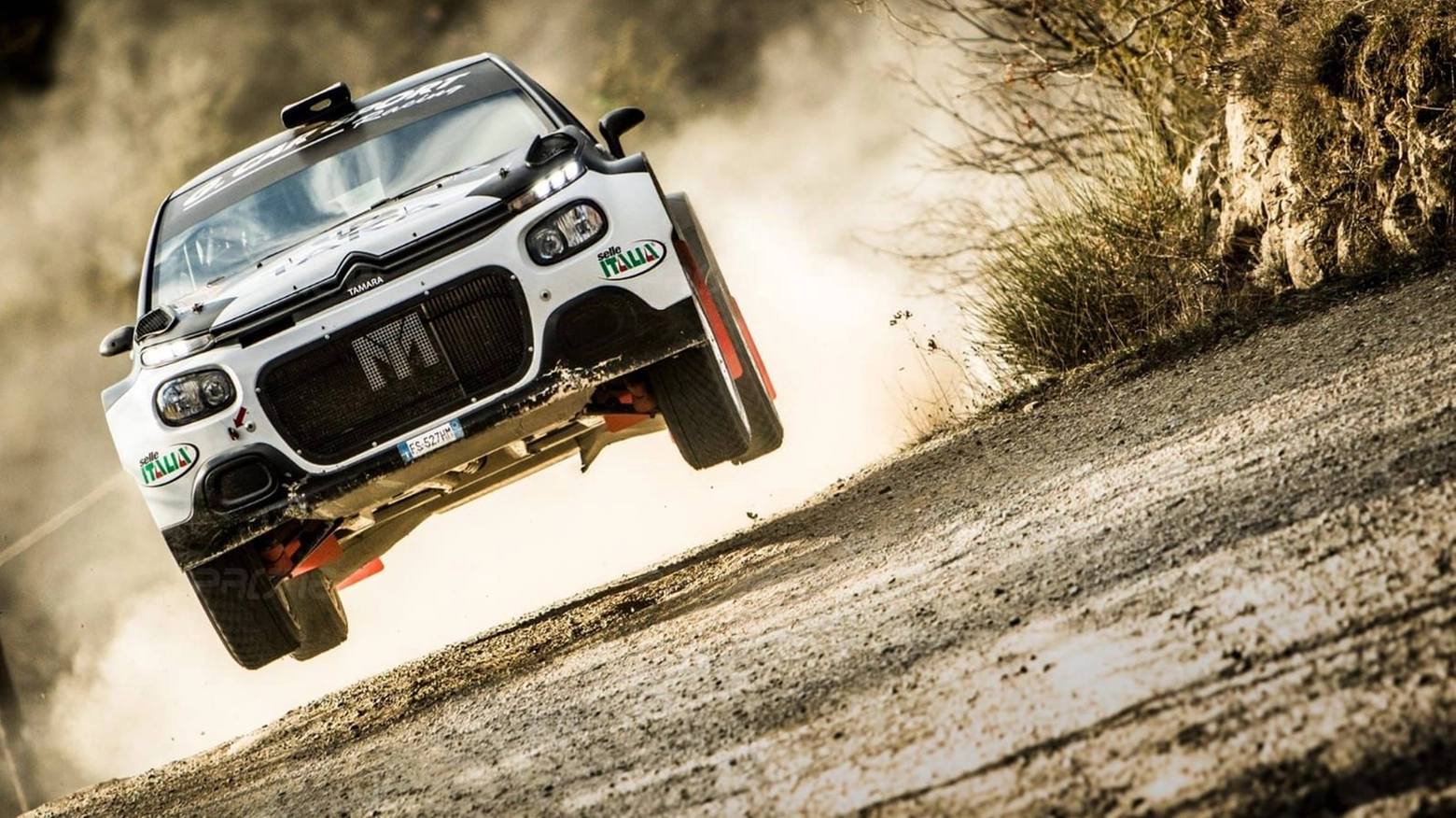 rally rally