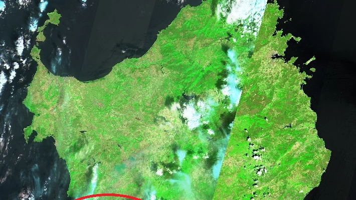 L'immagine dal satellite: l'area marrone è quella distrutta dall'incendio