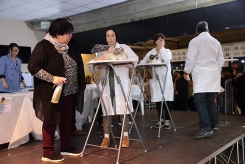 immagine di sfondo 32