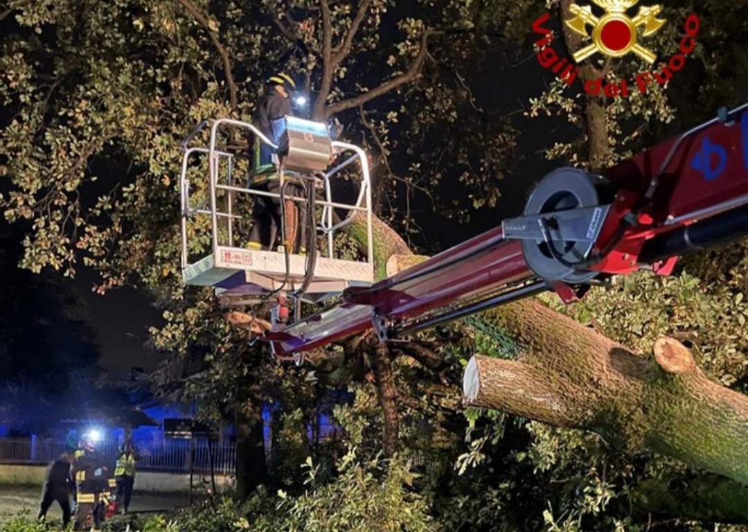immagine di sfondo 6