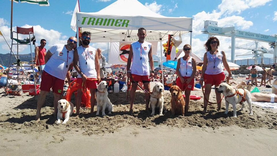 Alcuni cani e operatori della Scuola cani salvataggio Toscana (Foto da Facebook)