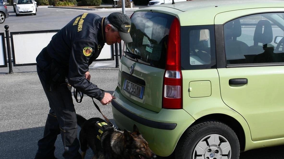 Movida... stupefacente Trovato mezzo chilo di droga Segnalati oltre 150 giovani Movida... stupefacente Trovato mezzo chilo di droga Segnalati oltre 150 giovani