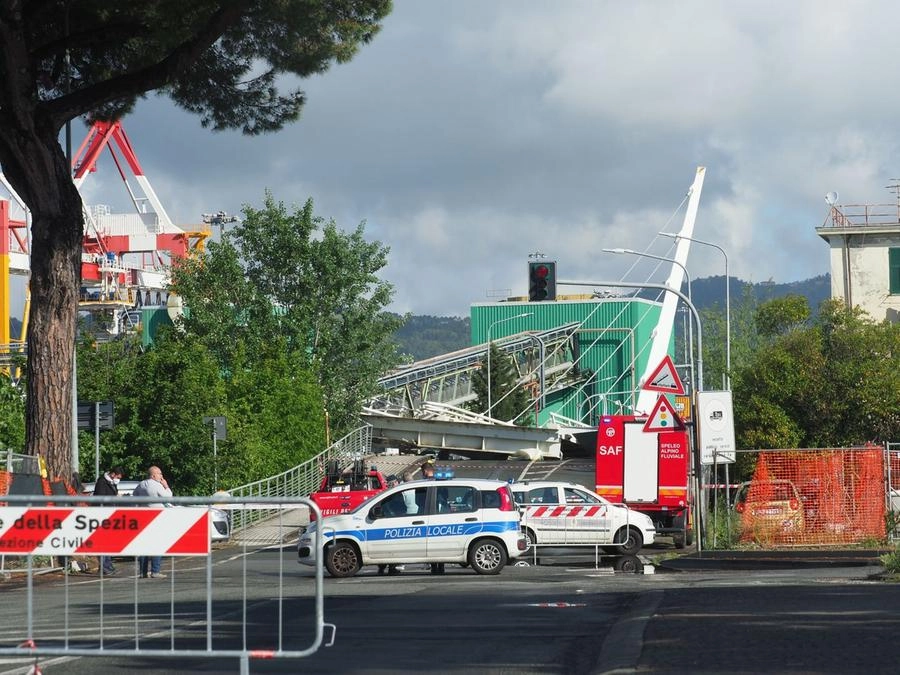 immagine di sfondo 11