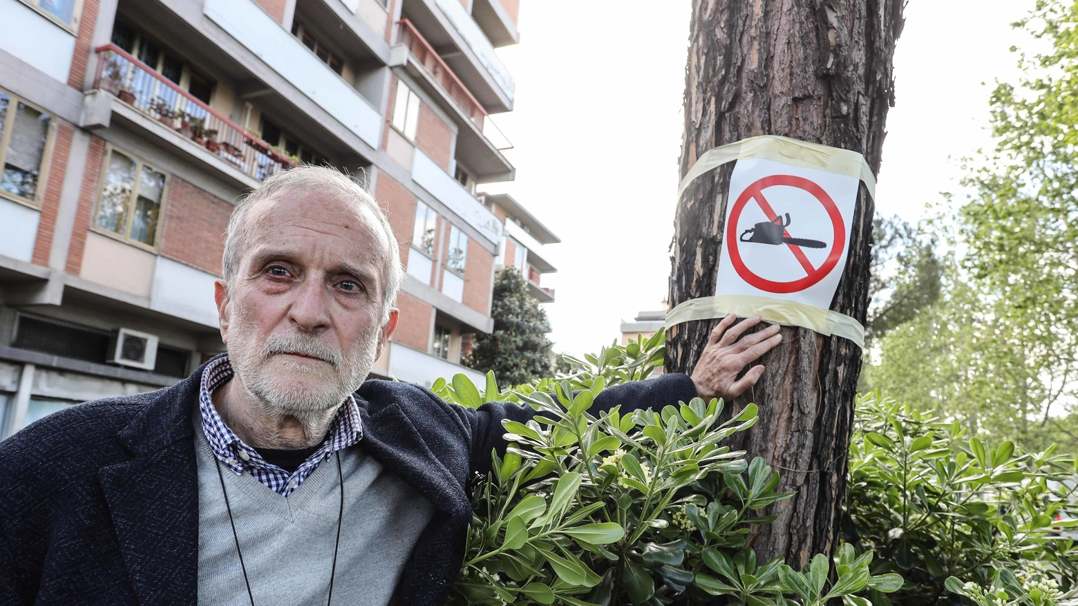 Viale Redi, cittadini mobilitati  Quattro notti con gli alberi  "Questi pini non si abbattono"