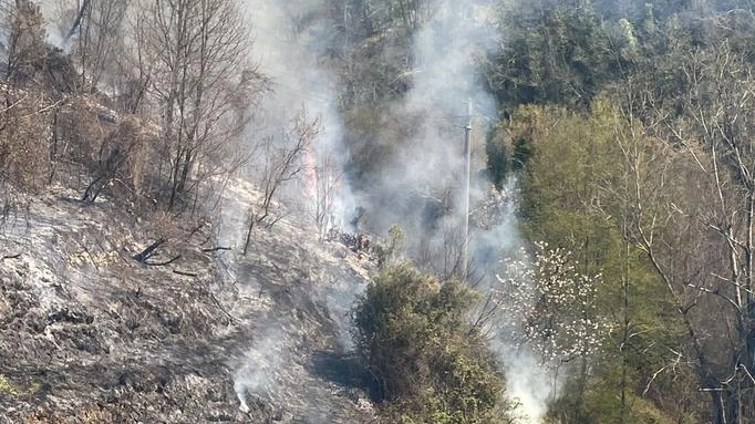 Il bosco che brucia Corsa contro il vento Il bosco che brucia Corsa contro il vento