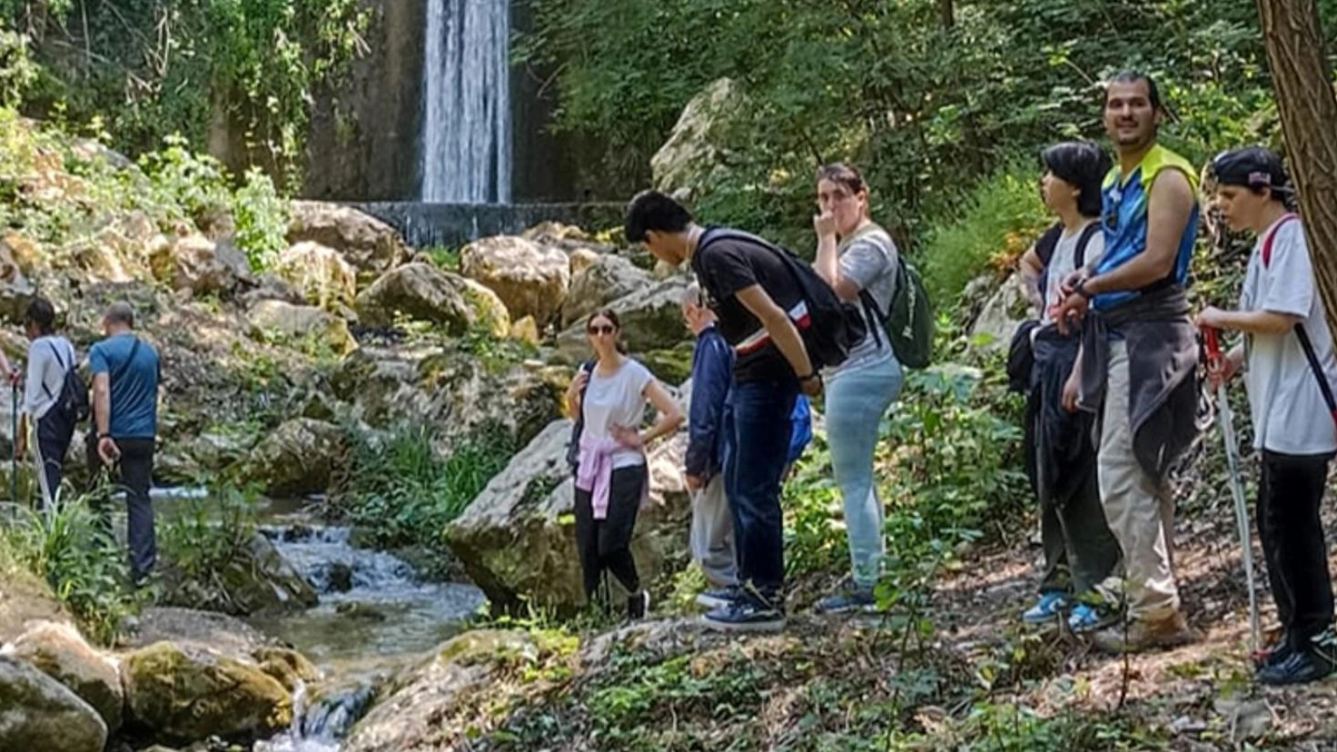 Stare bene grazie alle camminate nel verde E al contempo fare la pulizia dei boschi Stare bene grazie alle camminate nel verde E al contempo fare la pulizia dei boschi
