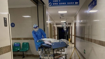 Covid in Cina: i sospetti su Gryphon, la nuova variante che ora spaventa il mondo