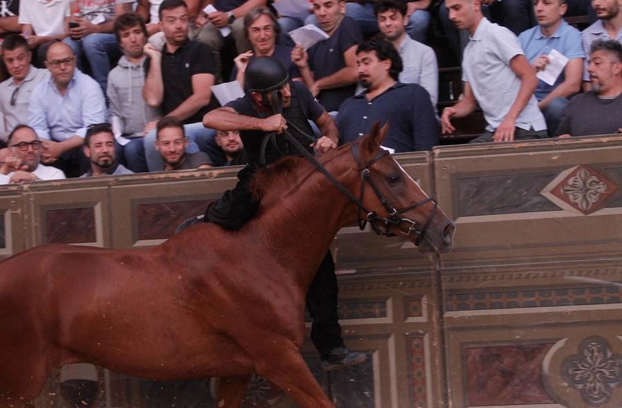 immagine di sfondo 6
