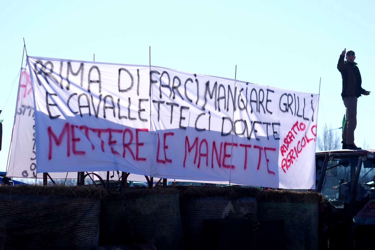 immagine di sfondo 19