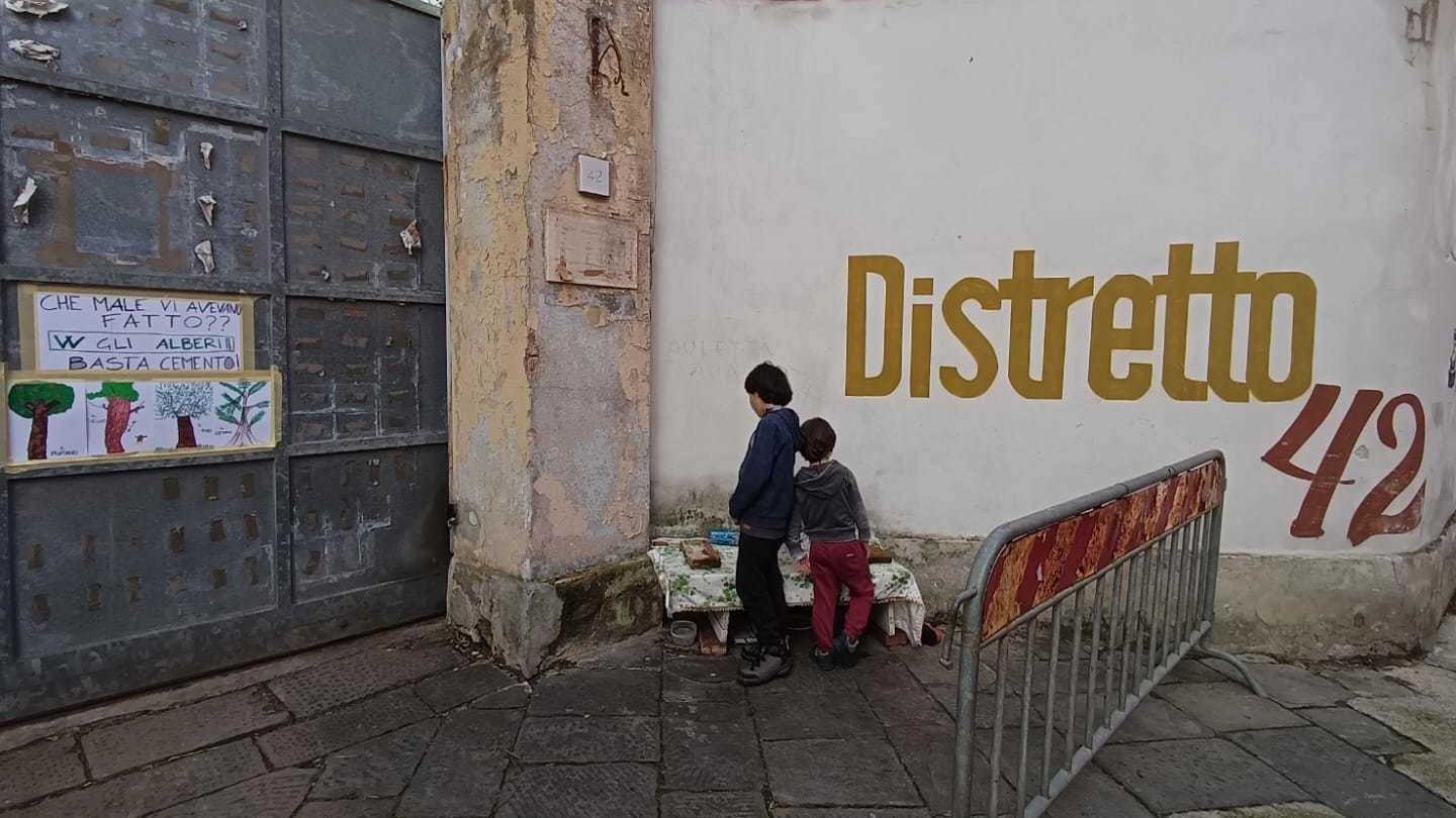 Abbattuti gli alberi all’ex distretto. Progetto edilizio che viene da lontano Abbattuti gli alberi all’ex distretto. Progetto edilizio che viene da lontano