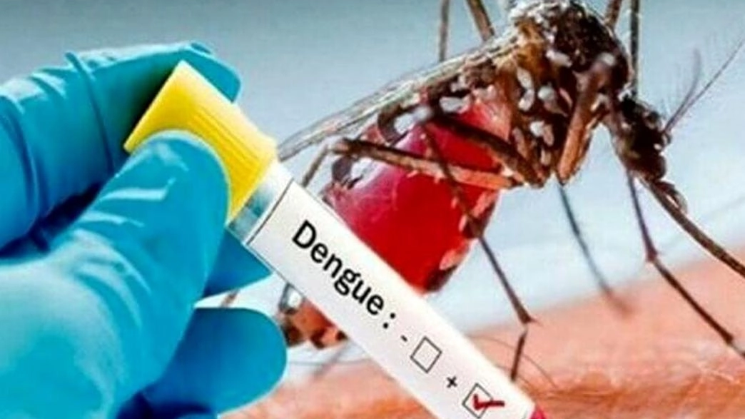 Dengue, caso sospetto  Positivo dopo il ritorno  dall’Asia: scatta  la disinfestazione