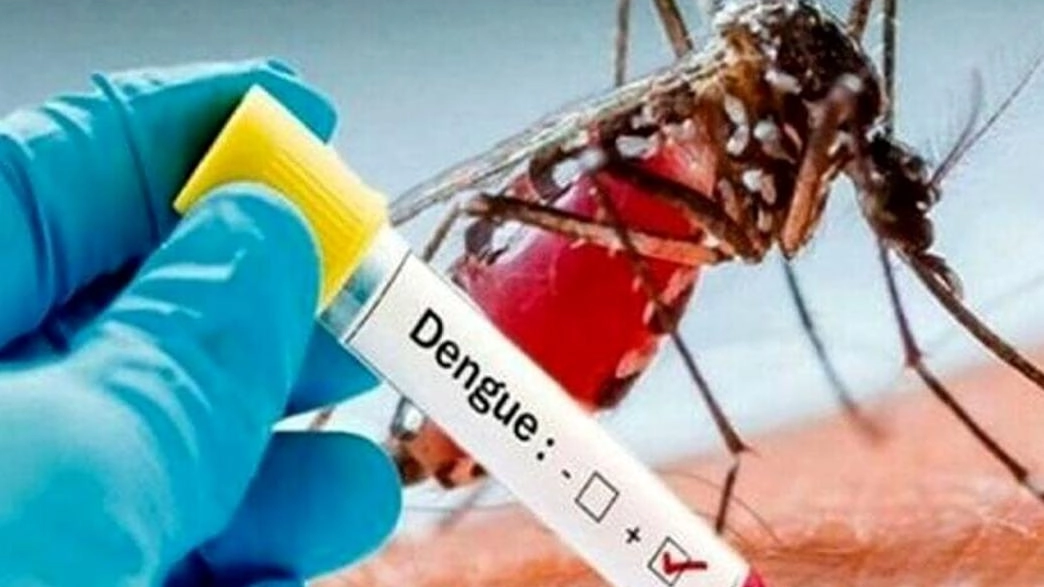 Dengue, caso sospetto Positivo dopo il ritorno dall’Asia: scatta la disinfestazione Dengue, caso sospetto Positivo dopo il ritorno dall’Asia: scatta la disinfestazione