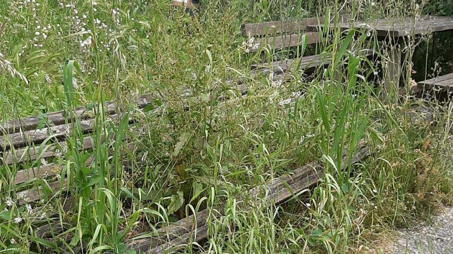 Degrado al giardino tra rifiuti al fontanello e panchine “mangiate“ dall’erba Degrado al giardino tra rifiuti al fontanello e panchine “mangiate“ dall’erba