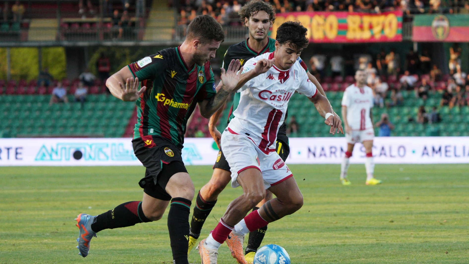 Un pari per la Ternana contro il Bari (Pianetafoto)