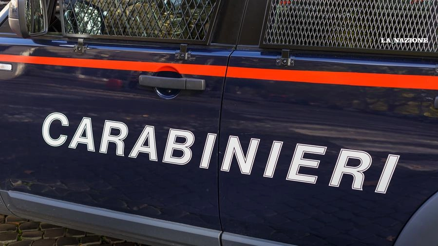 I carabinieri hanno arrestato l'aggressore