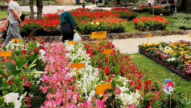 Fiorinfiera Fiorinfiera