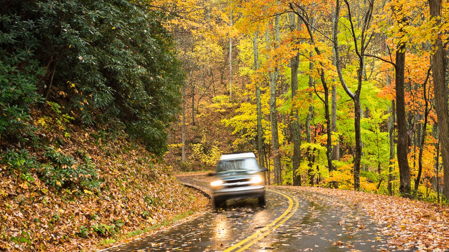 Arriva l'autunno Arriva l'autunno